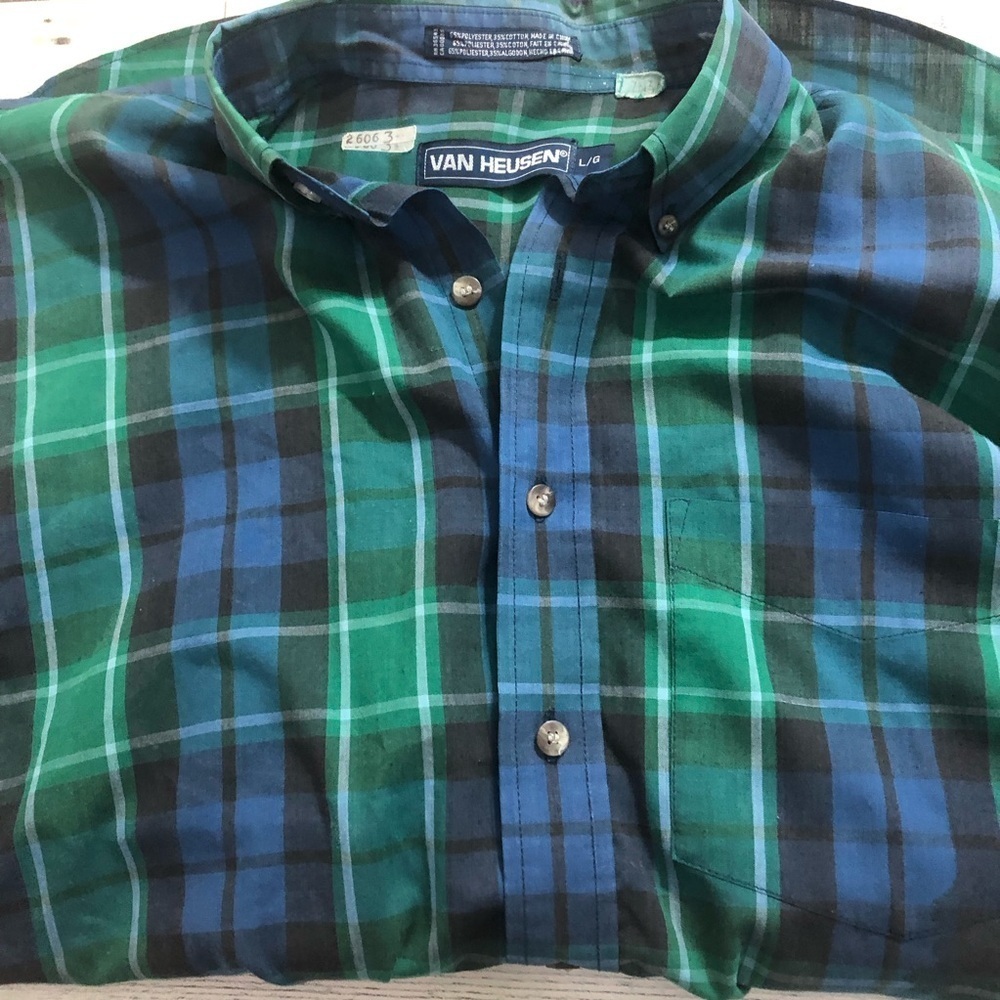 Van Heusen Green and Blue Casual Button Down Shirt